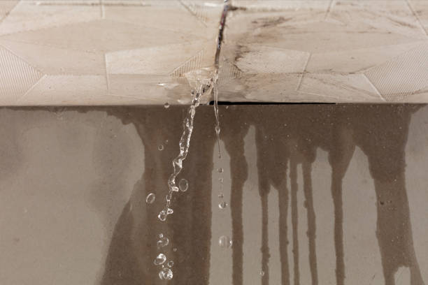 Professional Water Damage Inspection technician working in Passadumkeag, ME